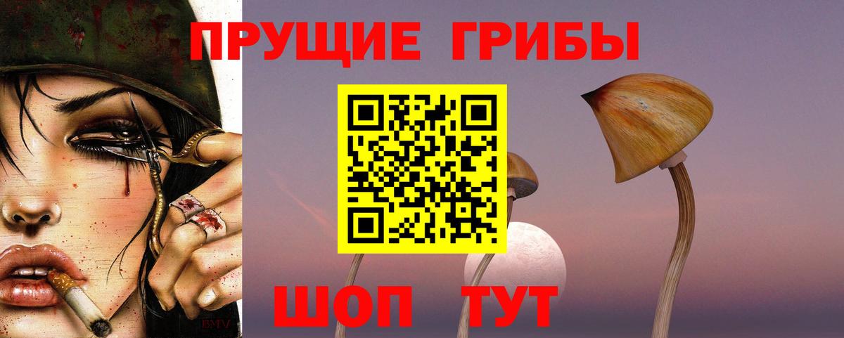 Псков  Галлюциногенные грибы Cubensis  Вход с VPN 